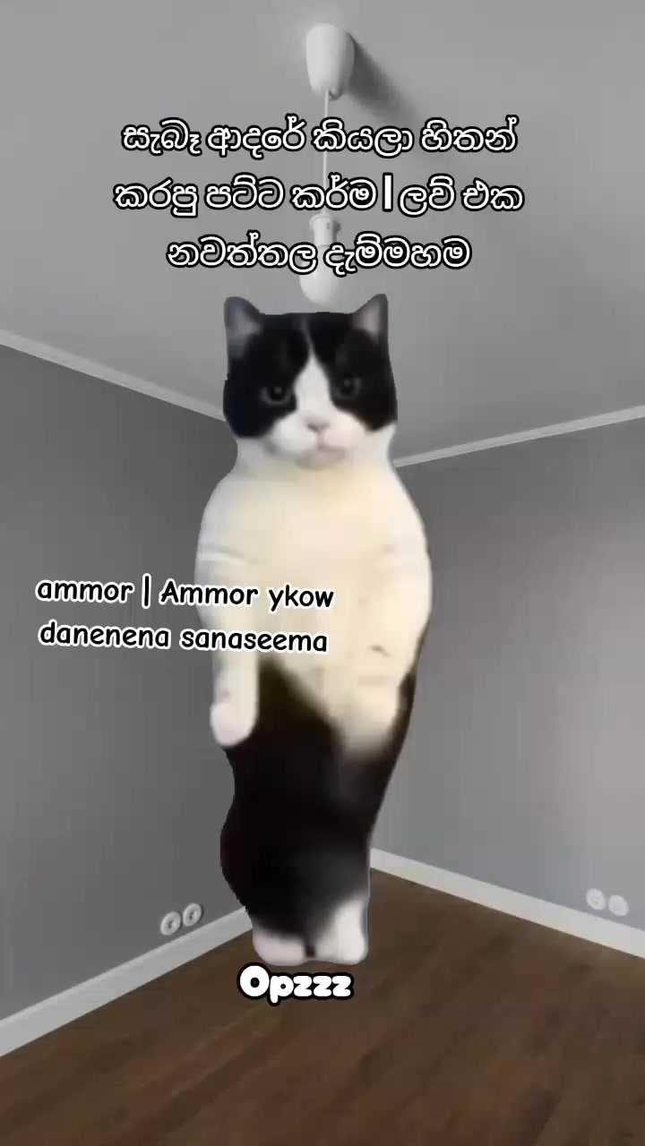 @𝑂𝑝𝑧𝑧𝑧