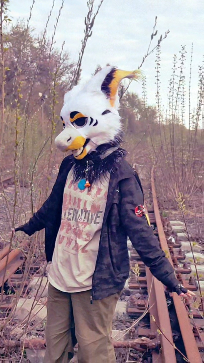 @silly doggo | @