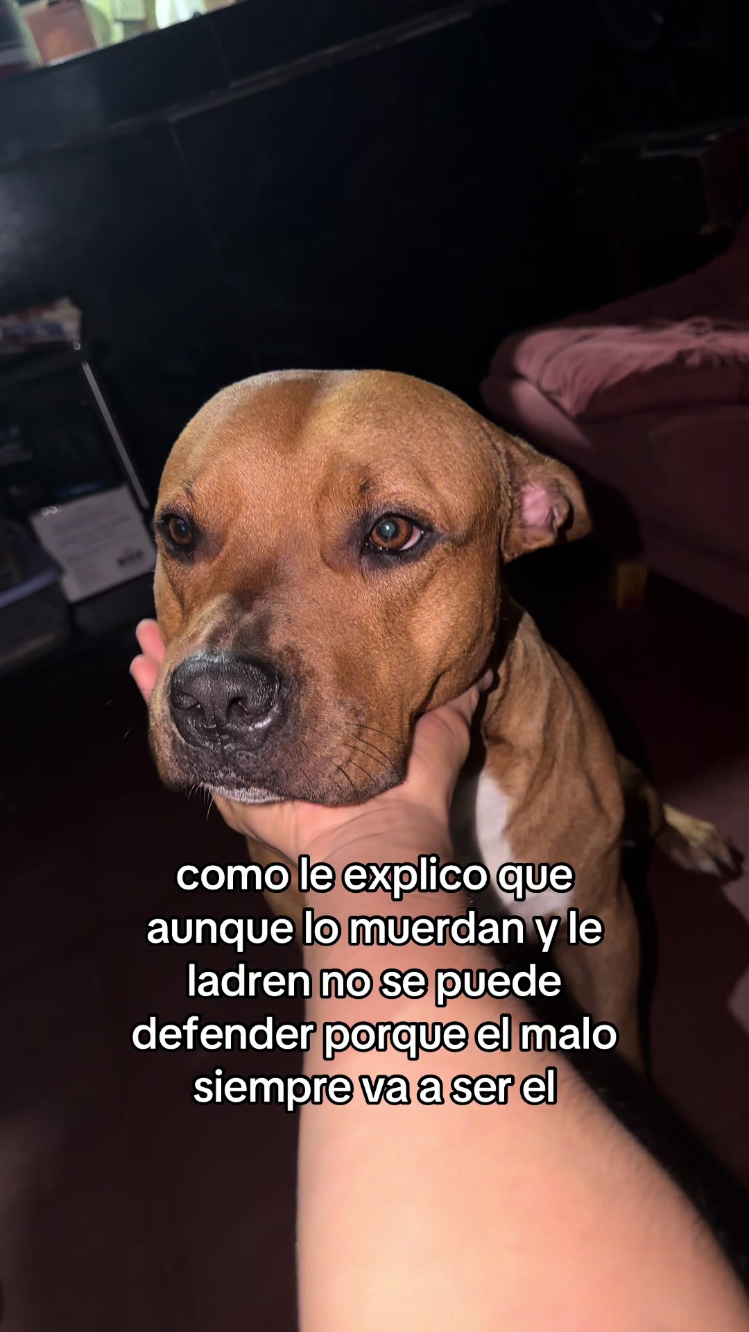 @Maycol 🌩️