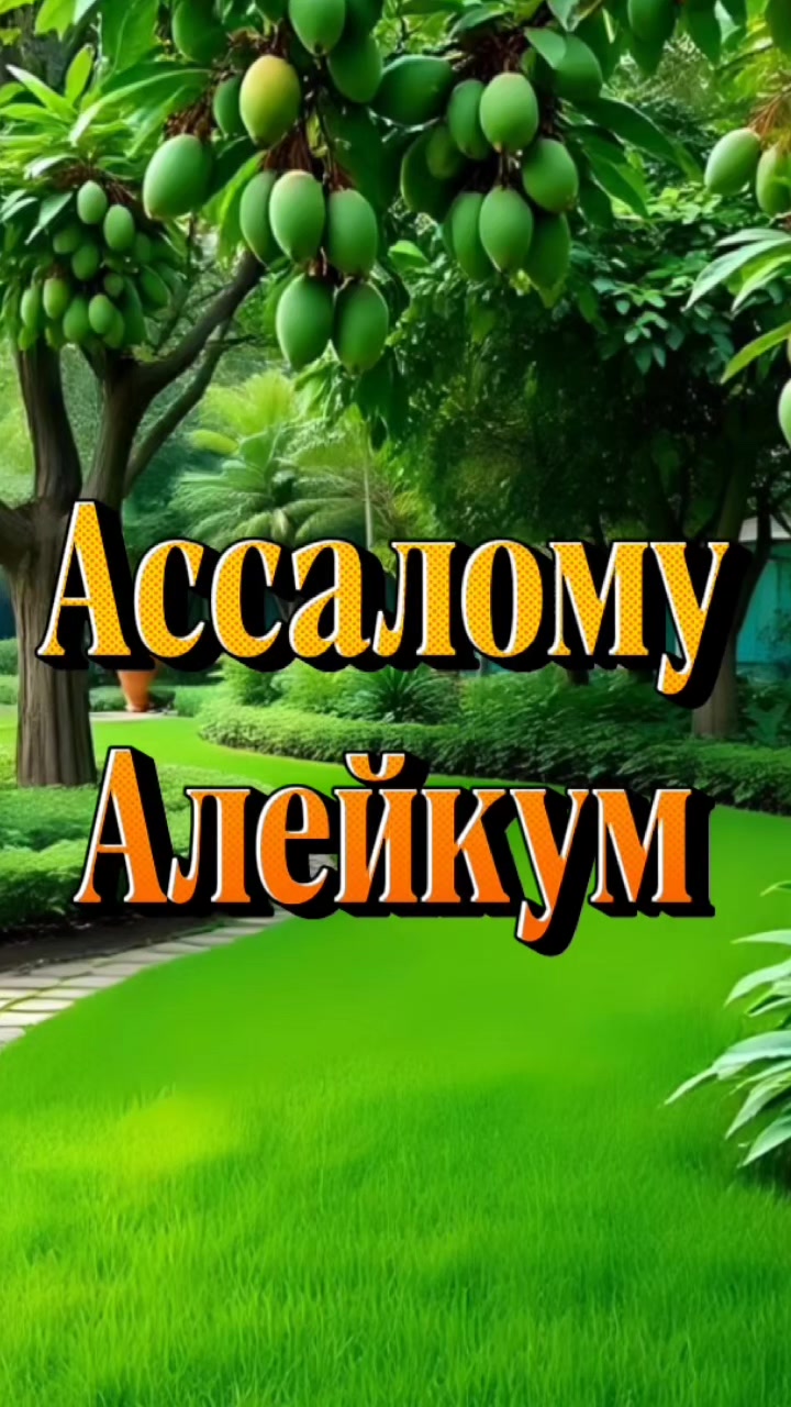 @Ностальгия✅️