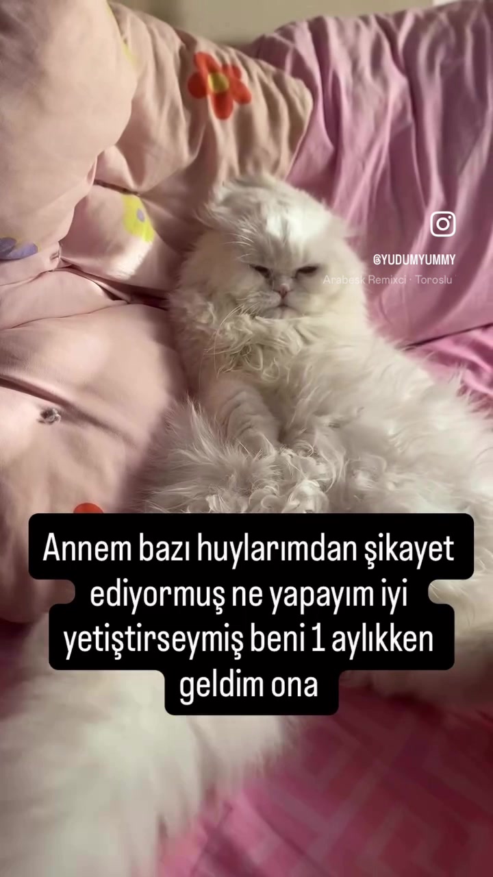 @yudummz_