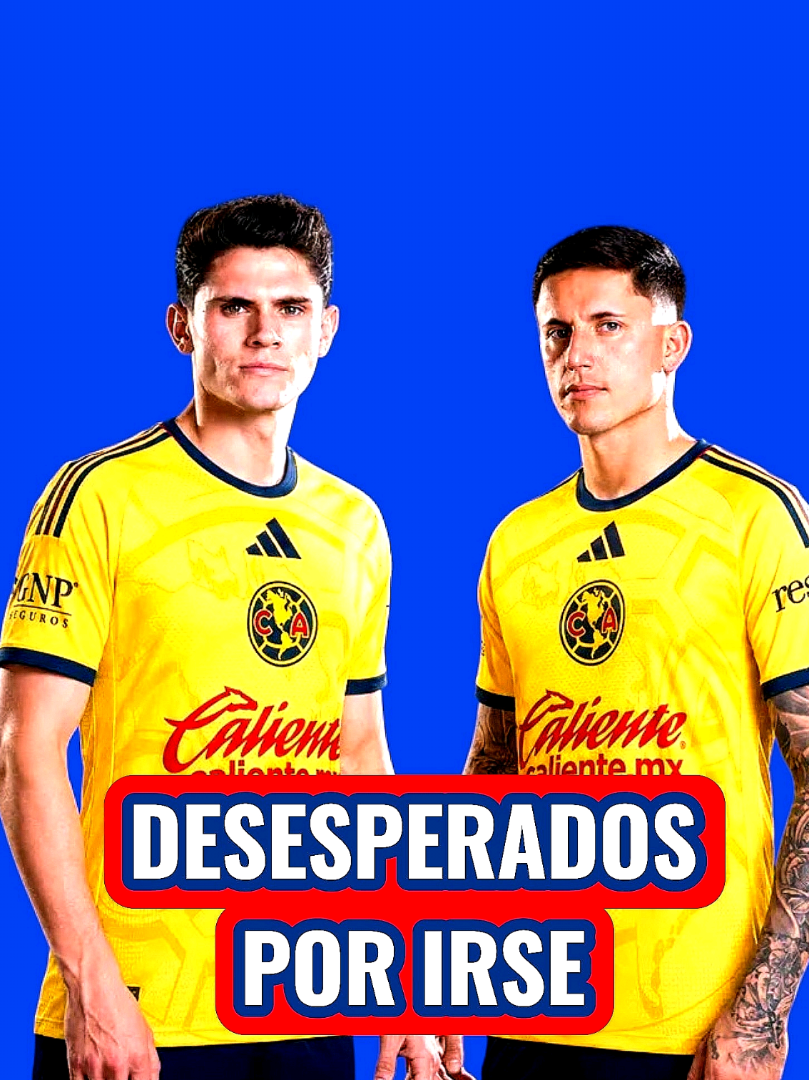 @Jonatan Peña