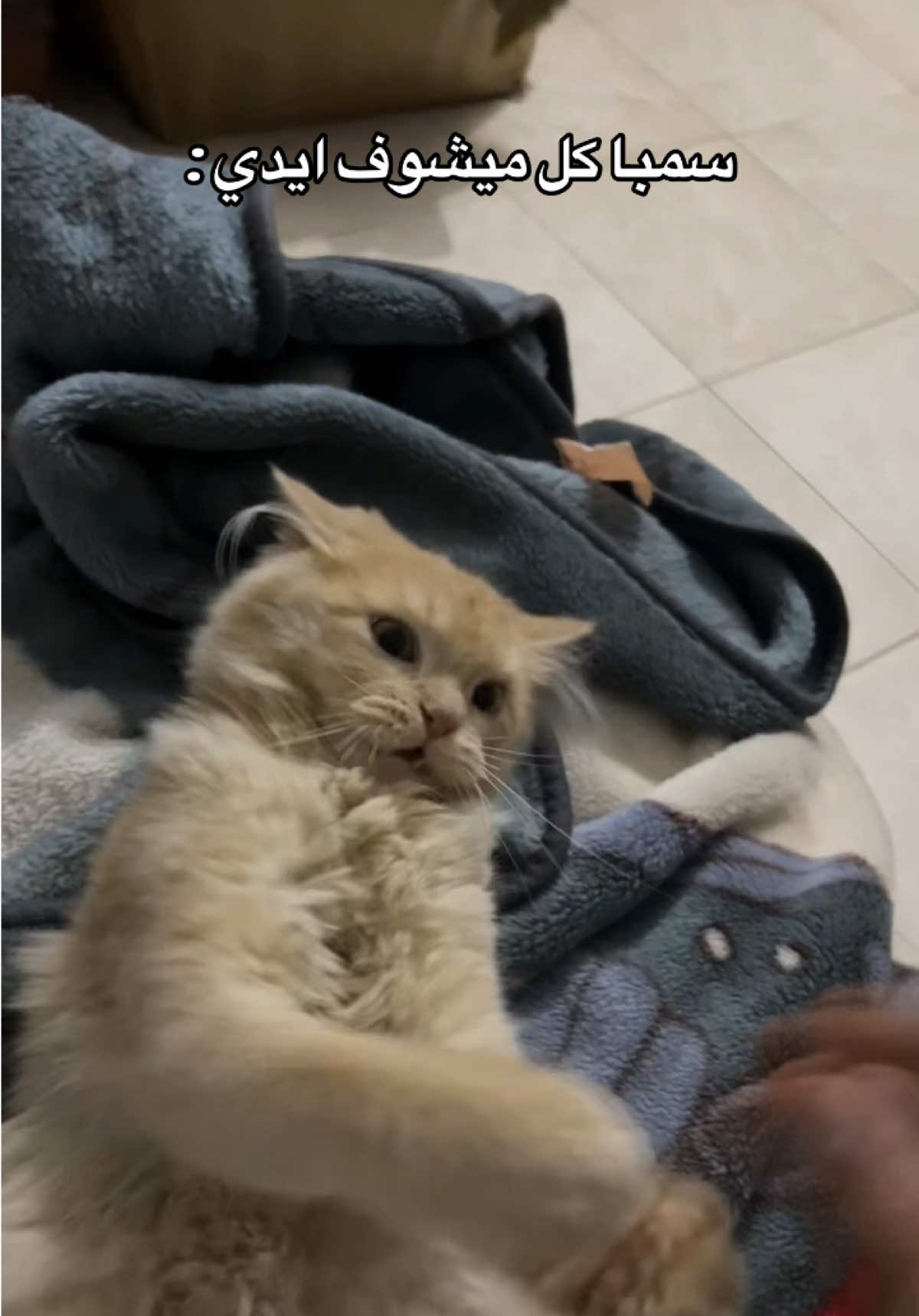 @๐แปโฉ แฐ๐โ ๐ฆน๐ผโ๏ธ