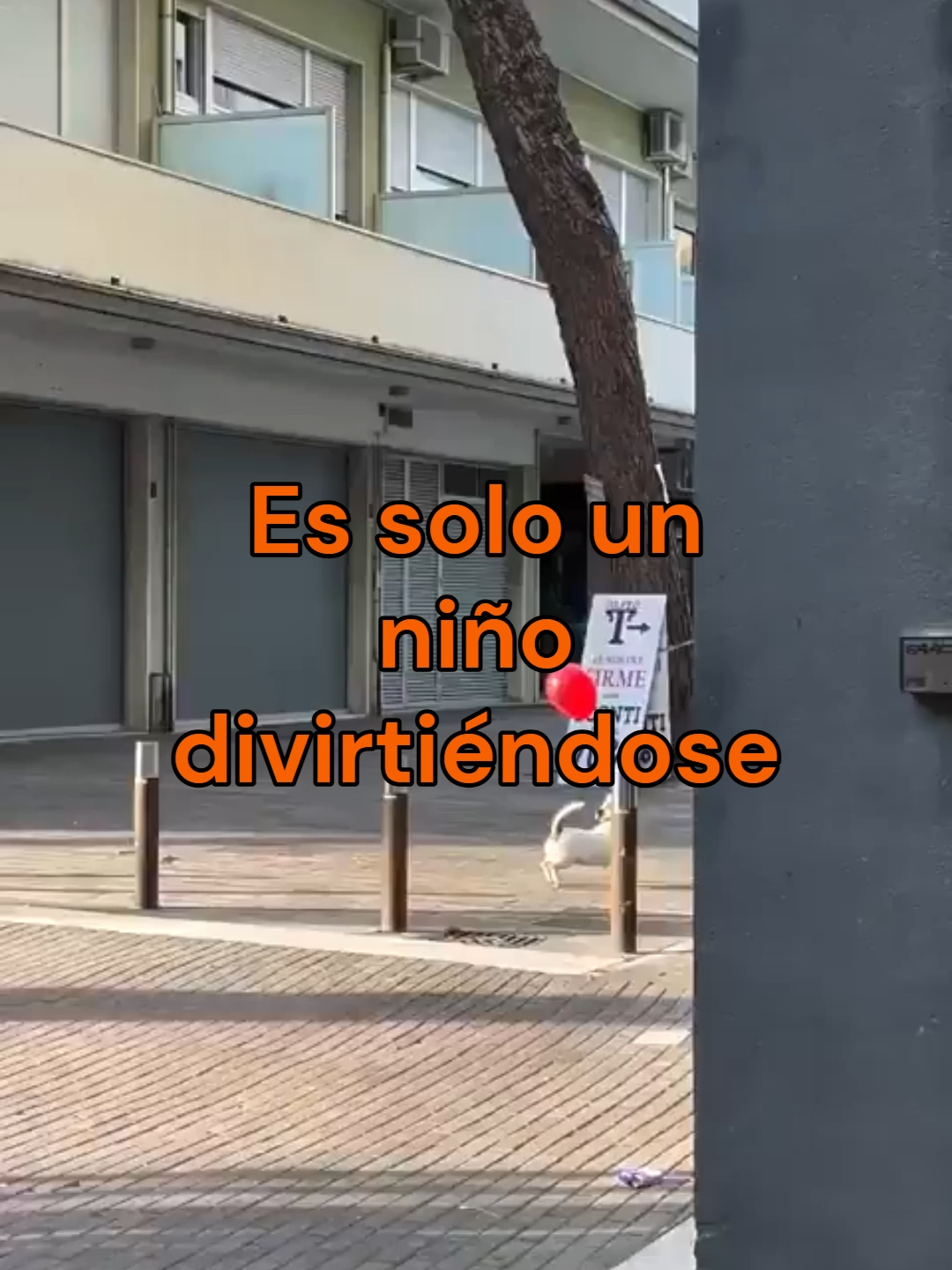 @Perla Guill&eacute;n