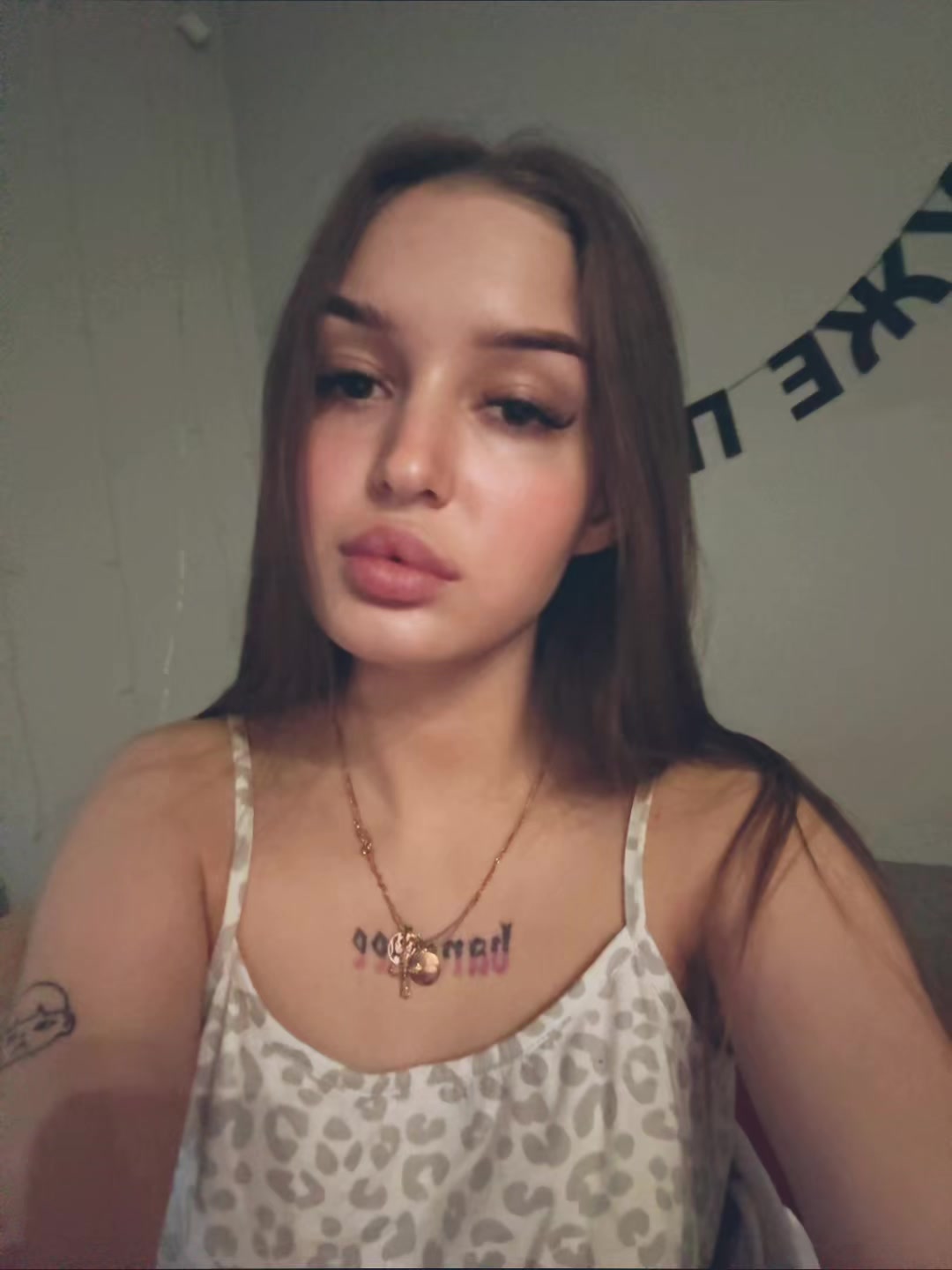 @кошка
