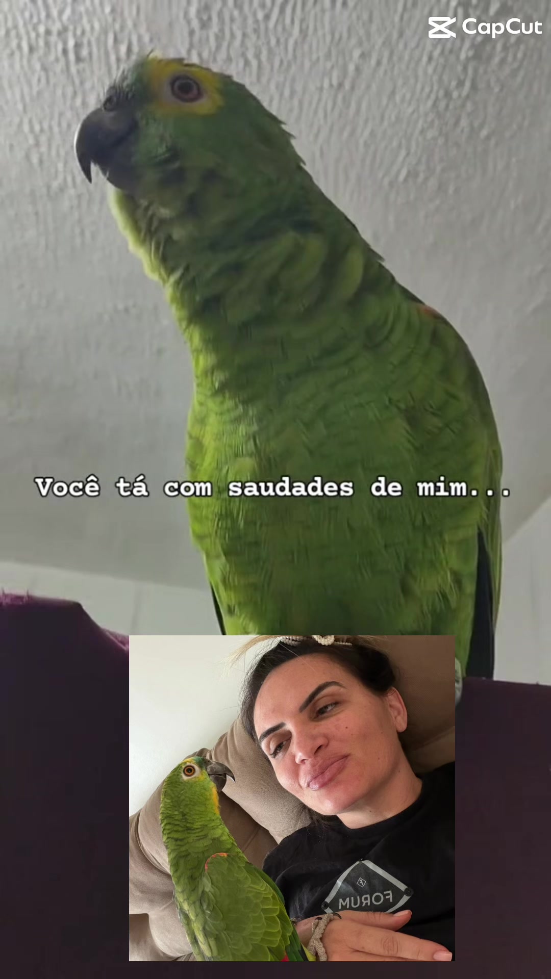 @Luana Aguiar 