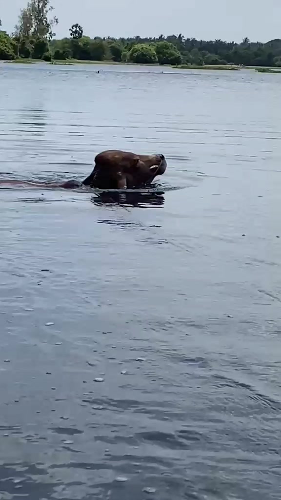 @yathuyathu729🇬🇧🇬🇧🇬🇧