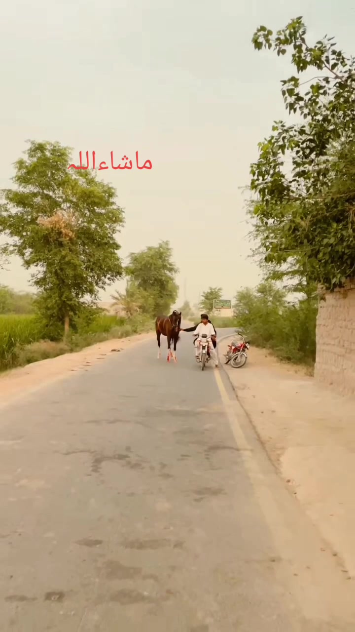 @Ali Nahra
