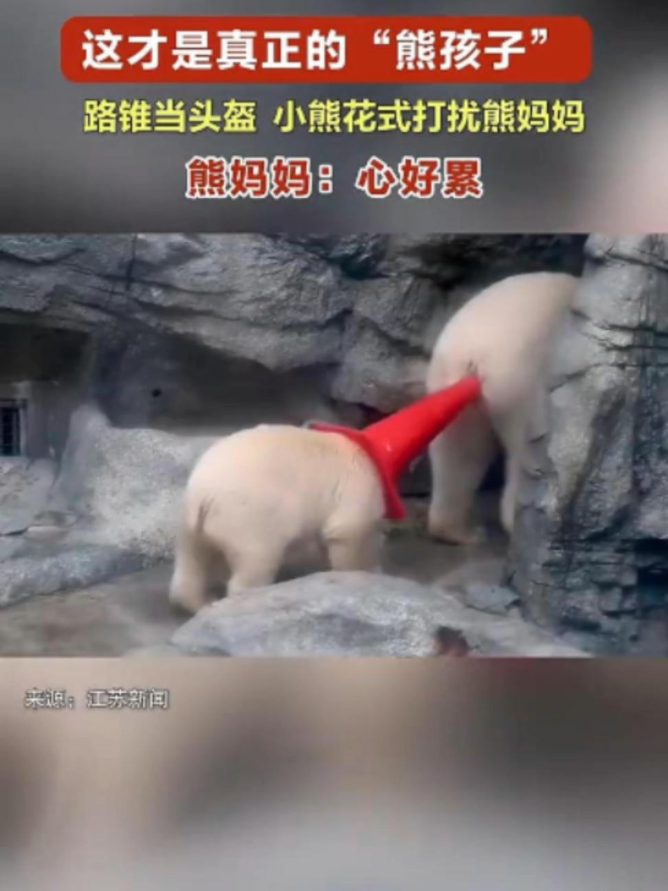 @中国蓝国际