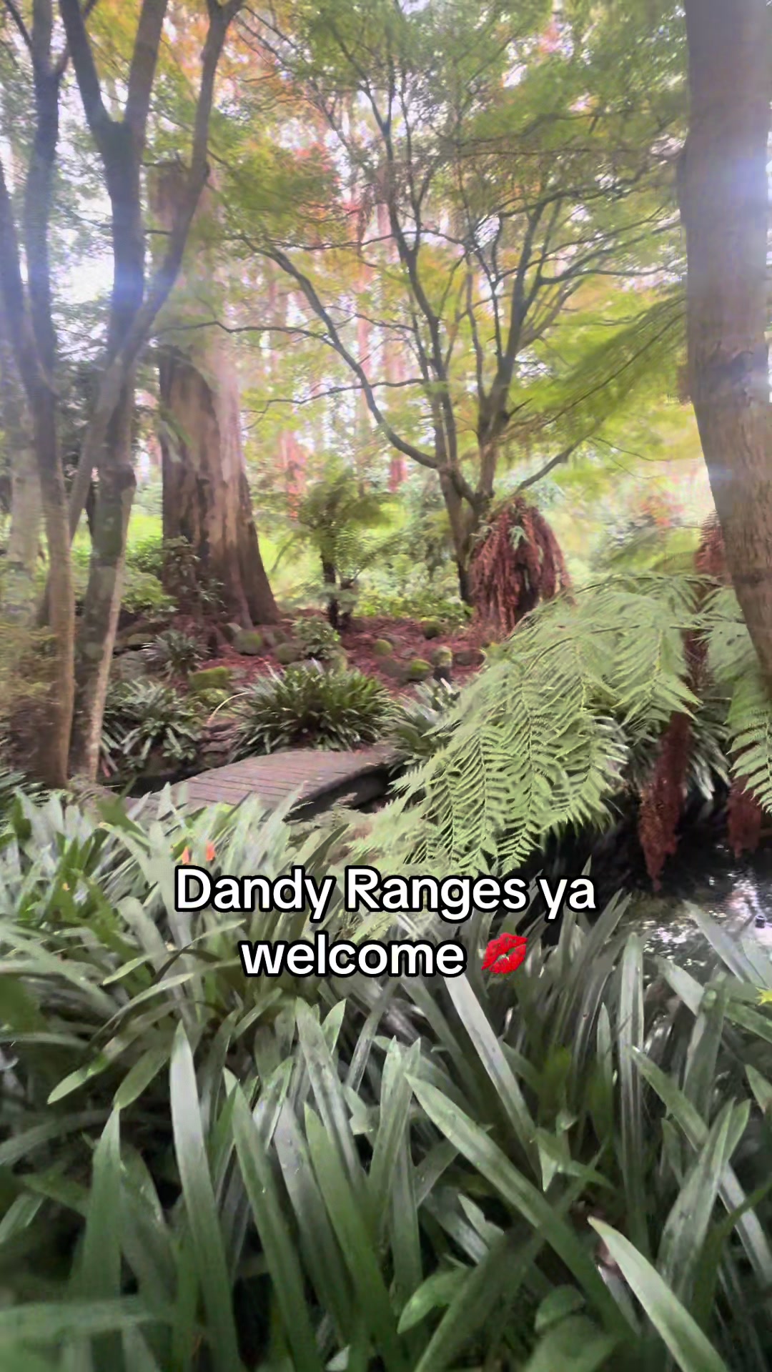 @Tilly by Nature