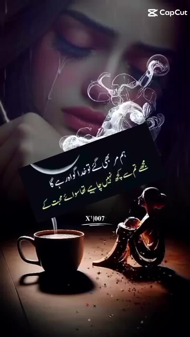 @Arzoo Khan