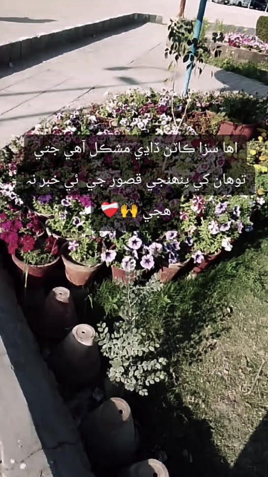@AقSa_Aلiii_official ✨🌍💝