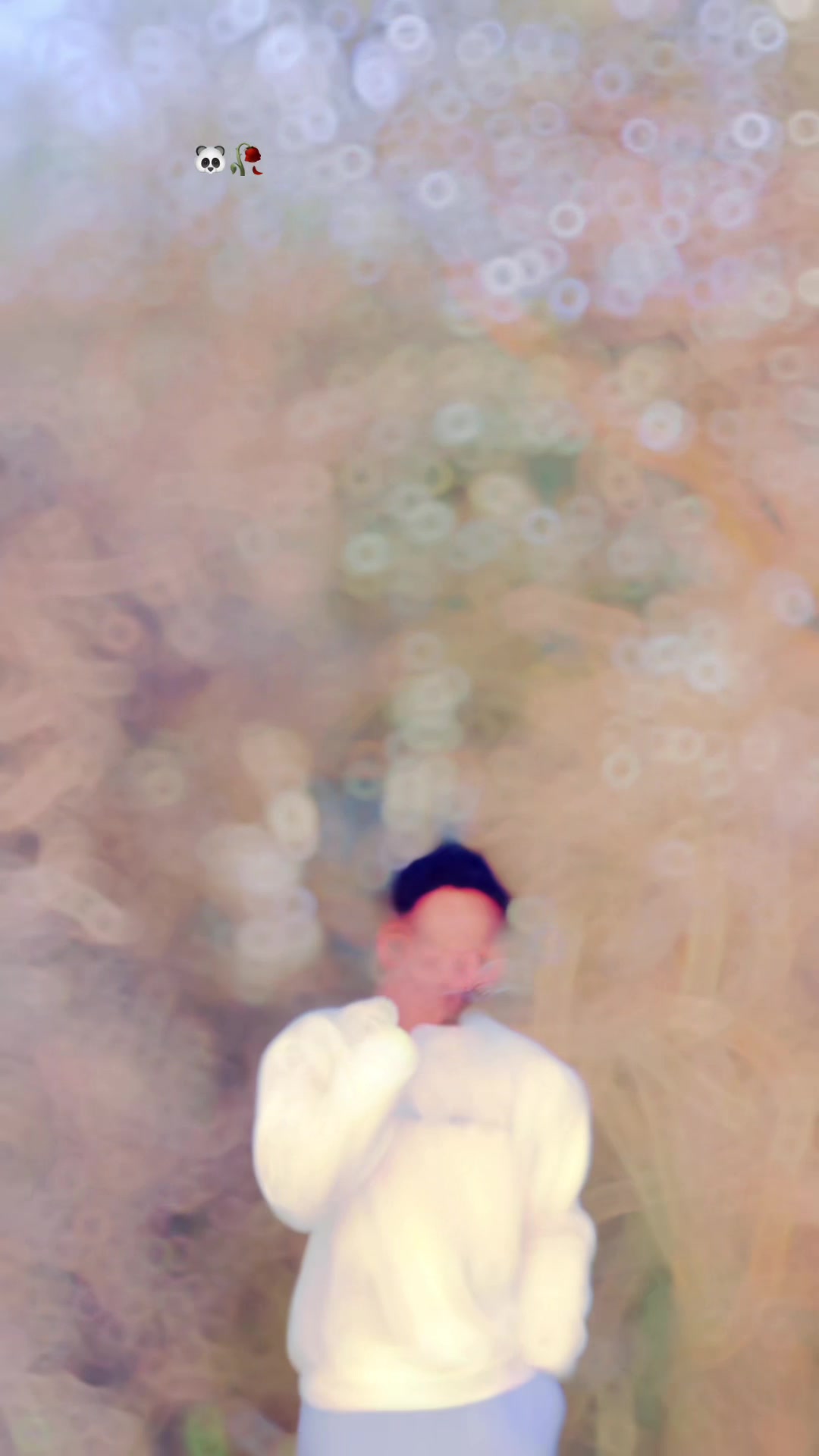 @🦋⃟ᴠͥɪͣᴘͫ✮⃝≛⃝ 𝓚𝓲𝓷𝓰 