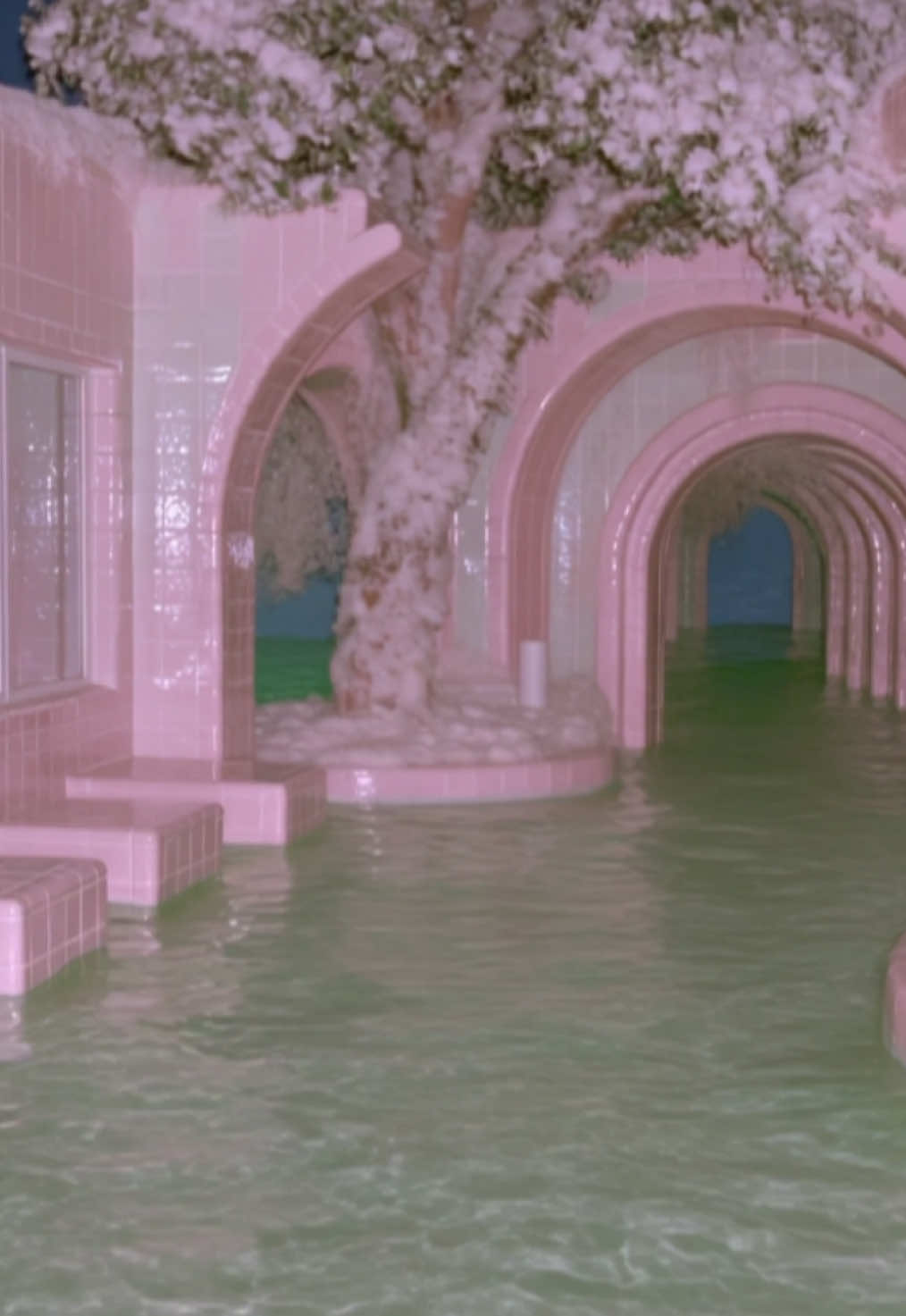 @𝐅𝐞𝐯𝐞𝐫𝐃𝐫𝐞𝐚𝐦𝐞𝐫
