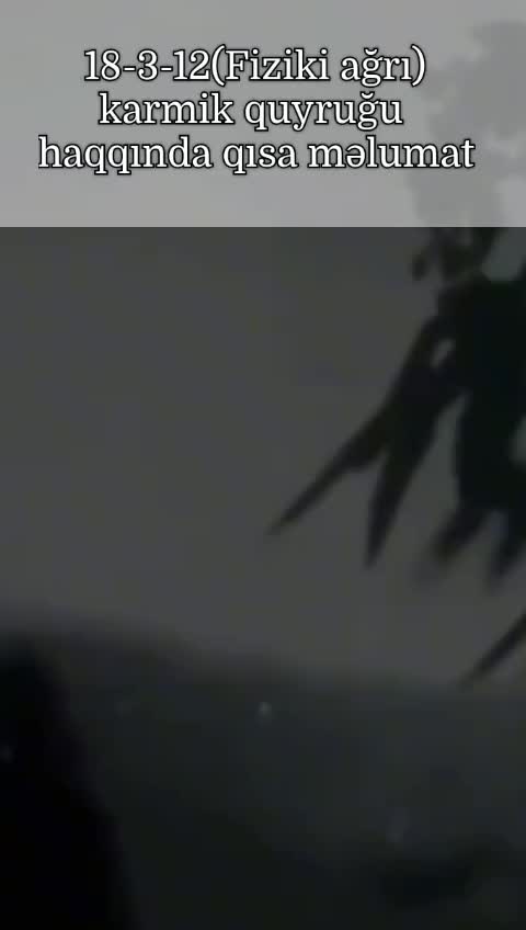 @๐๐๐๐๐ข๐๐๐๐๐ฟ