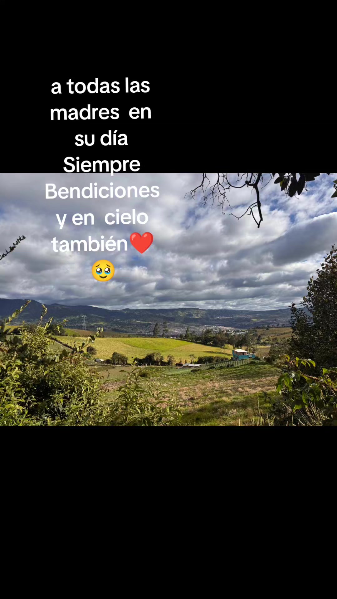 @Paulo Andres Villota Rosero