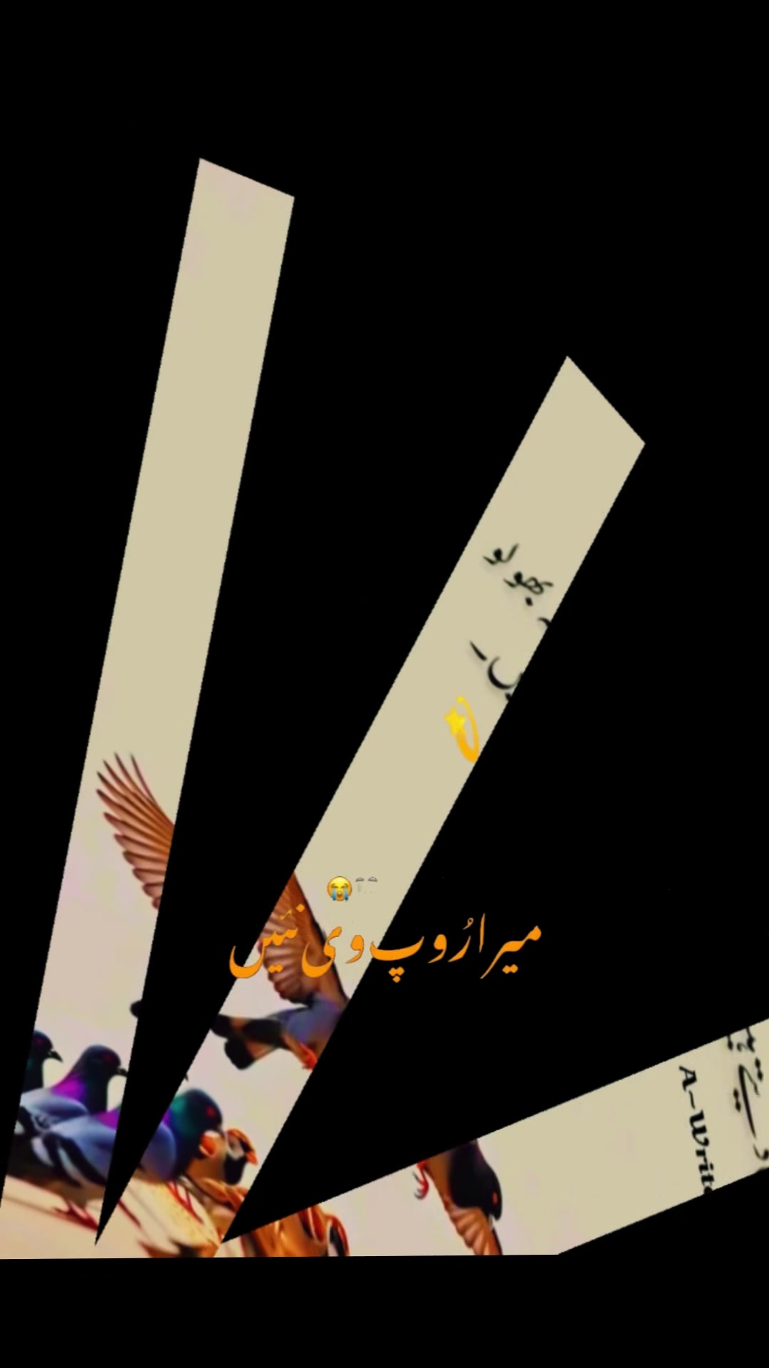 @꧁⋆❖ARSHAD༄᭄✿AK࿐༒