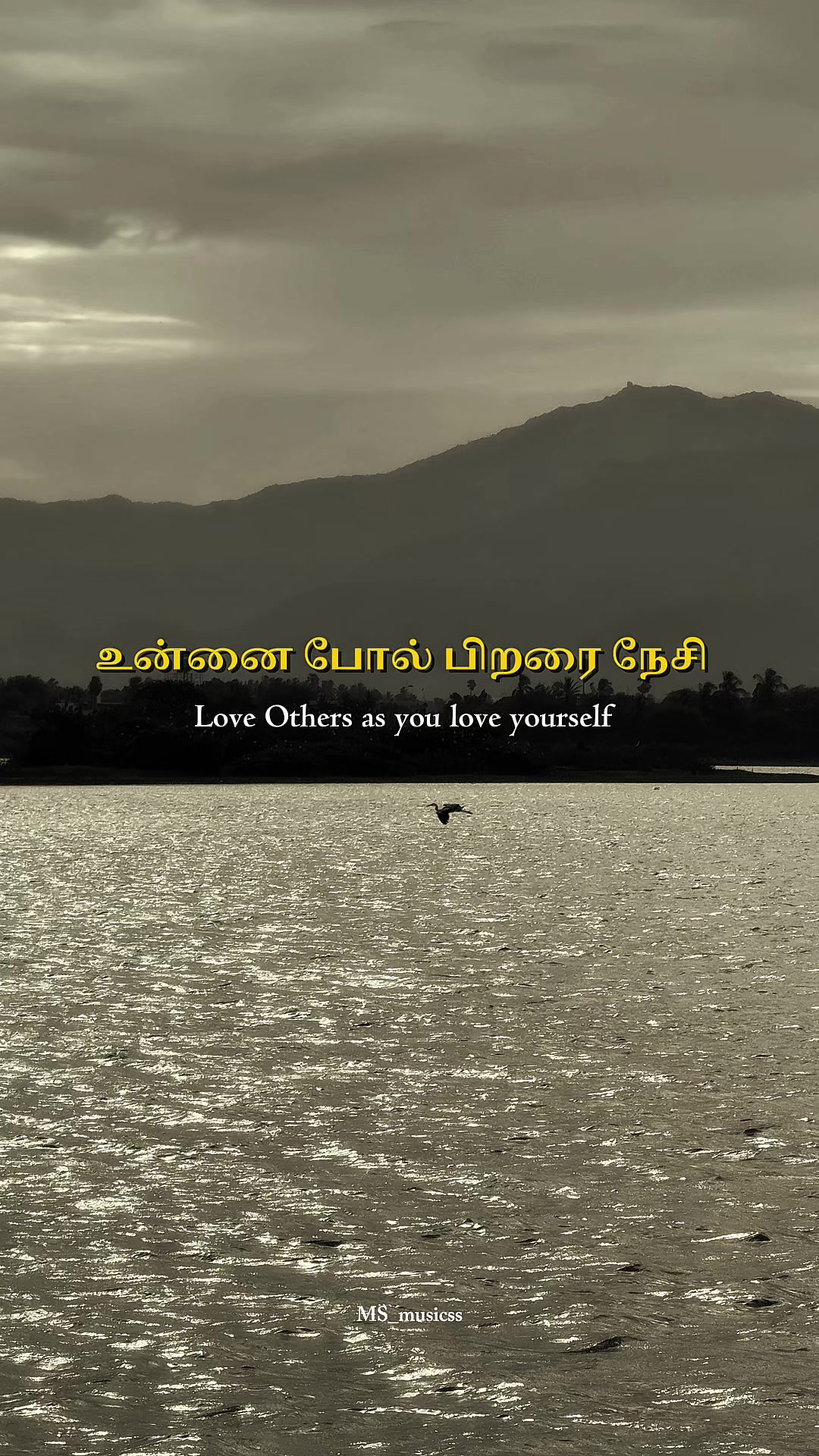 @SMS Photography