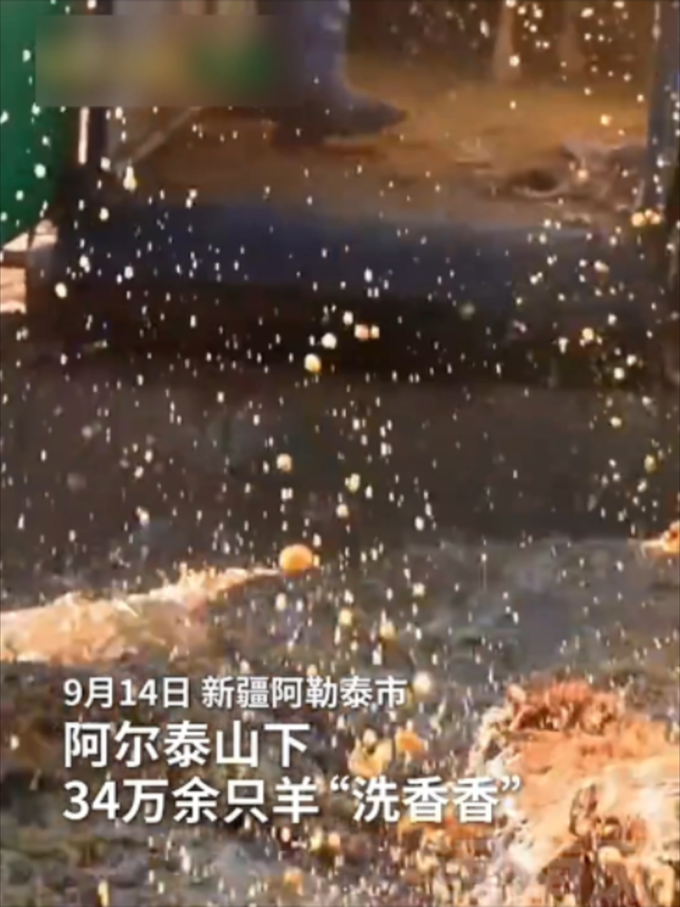 @闽南风~