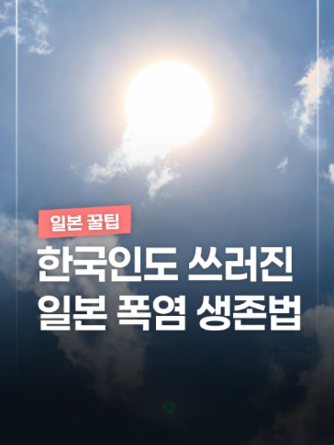 @짤컷