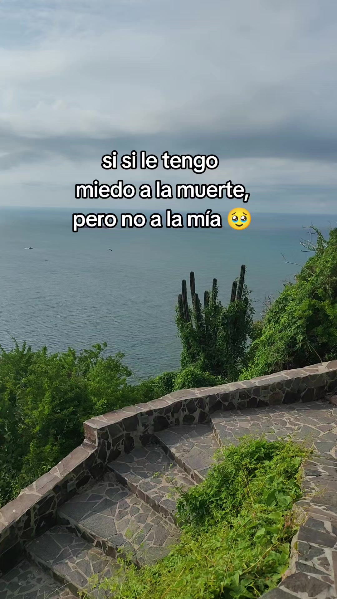 @Tere❤