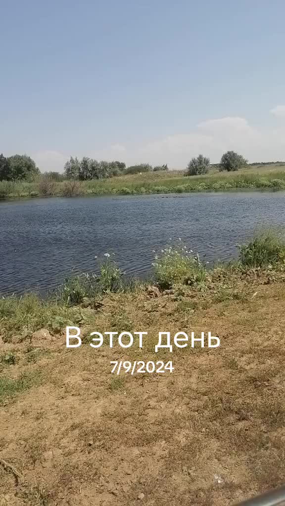 @Elena08061988