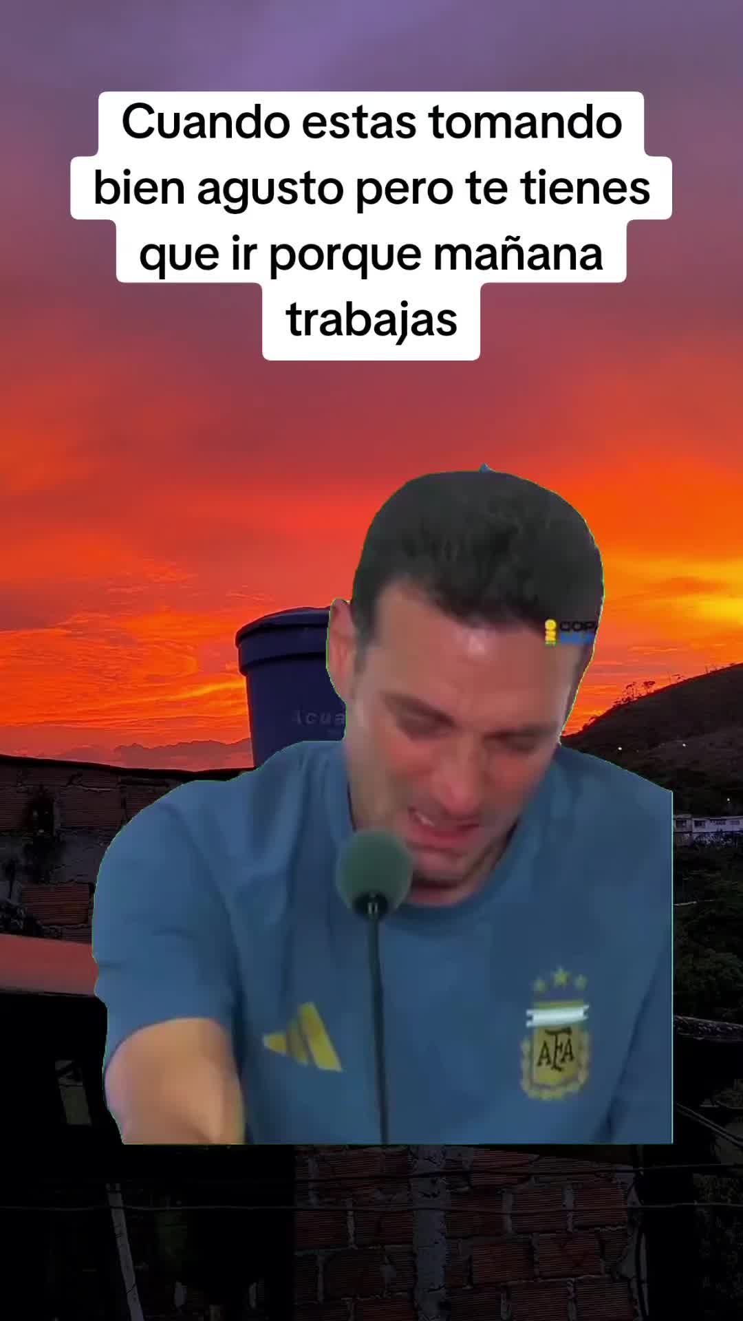 @Luis Carvajal240