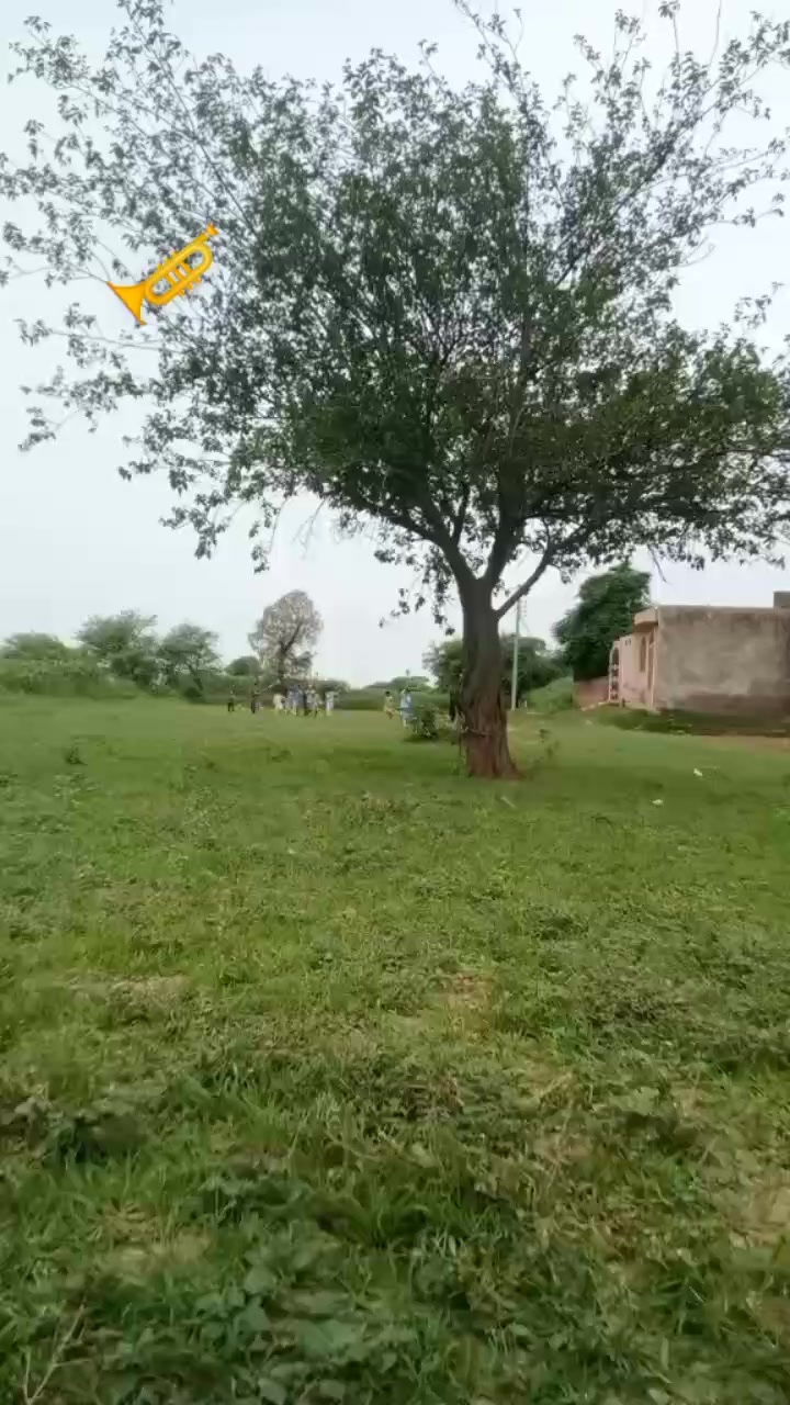 @🚷