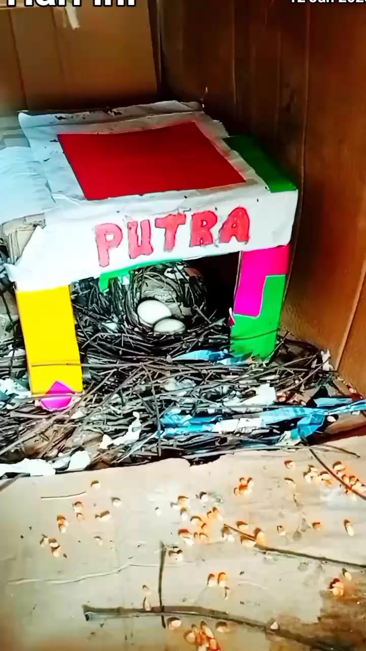 @Jose & putra si burung nakal