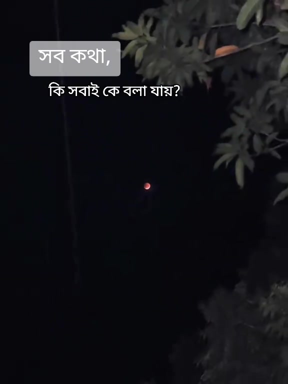 @️পাখি...!🕊