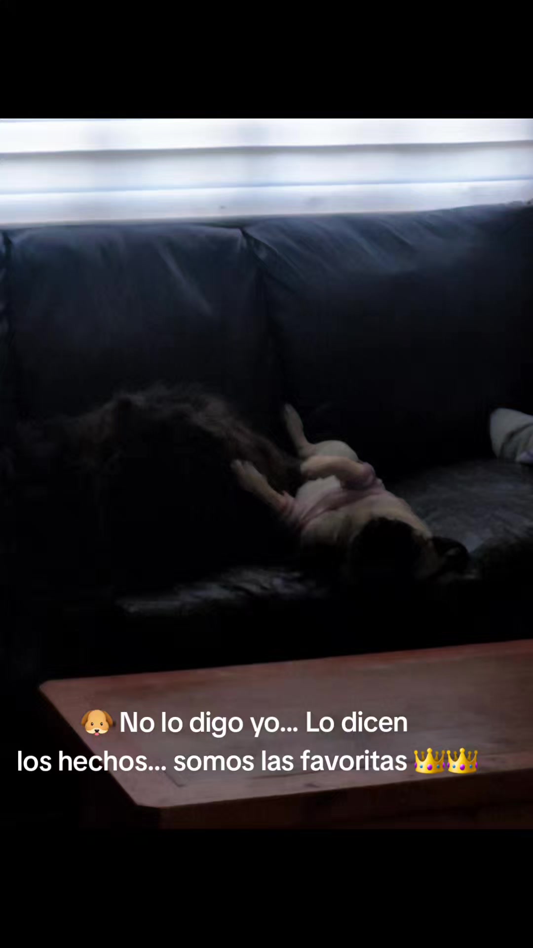 @melizabeth Verdugo