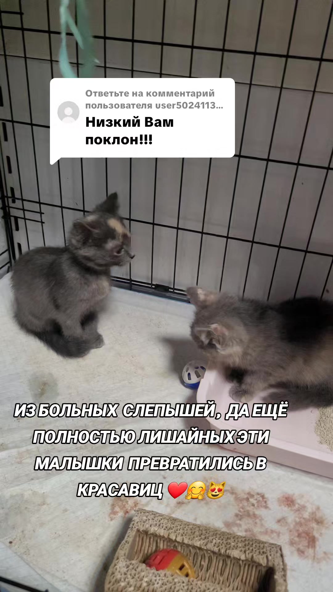 @marinka20_09