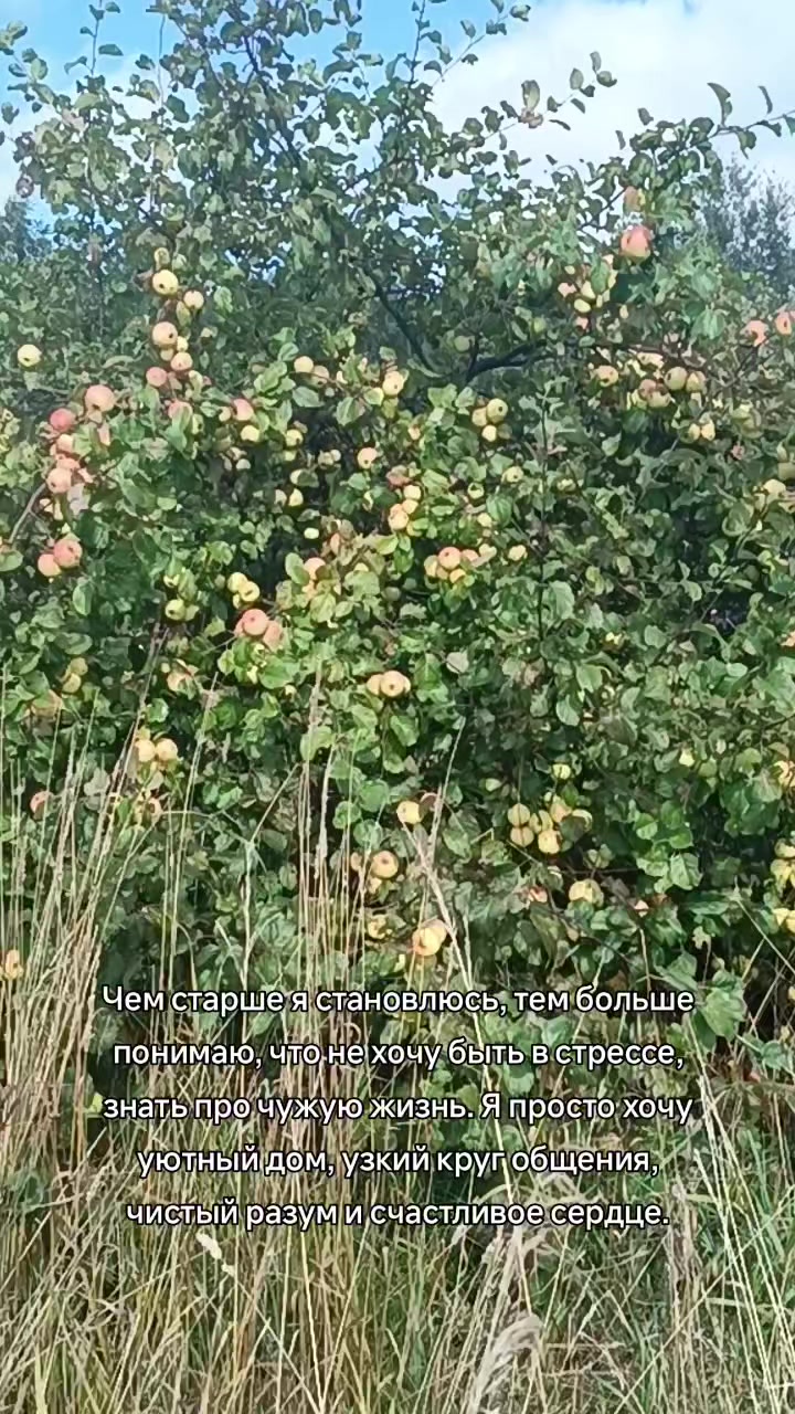 @Галина Емельянова