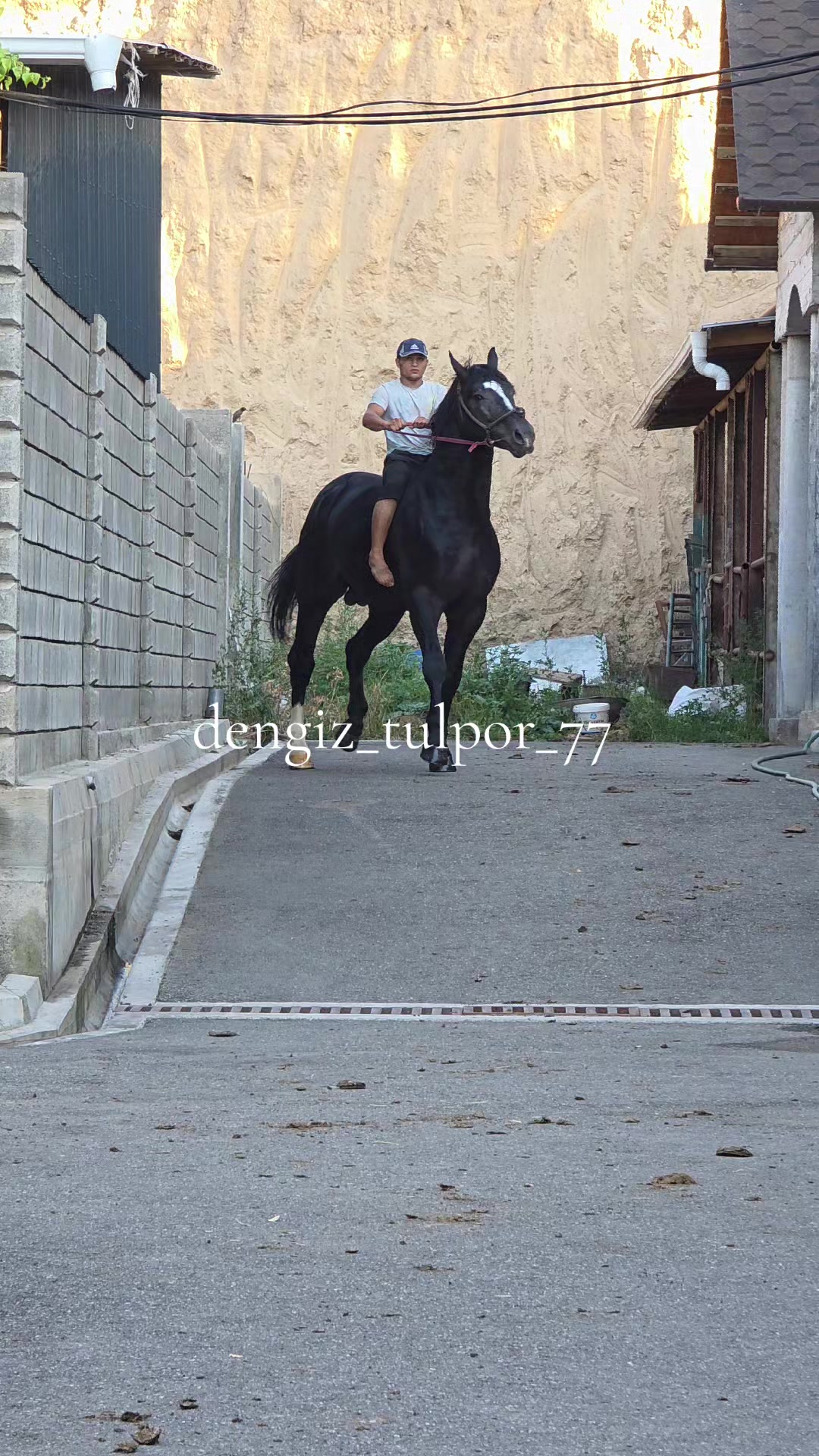 @dengiz_tulpor_77