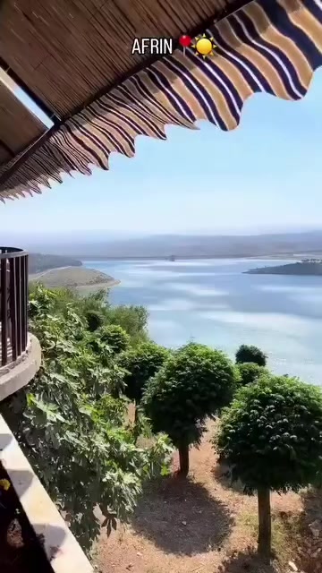 @عبدالرحمن عمر