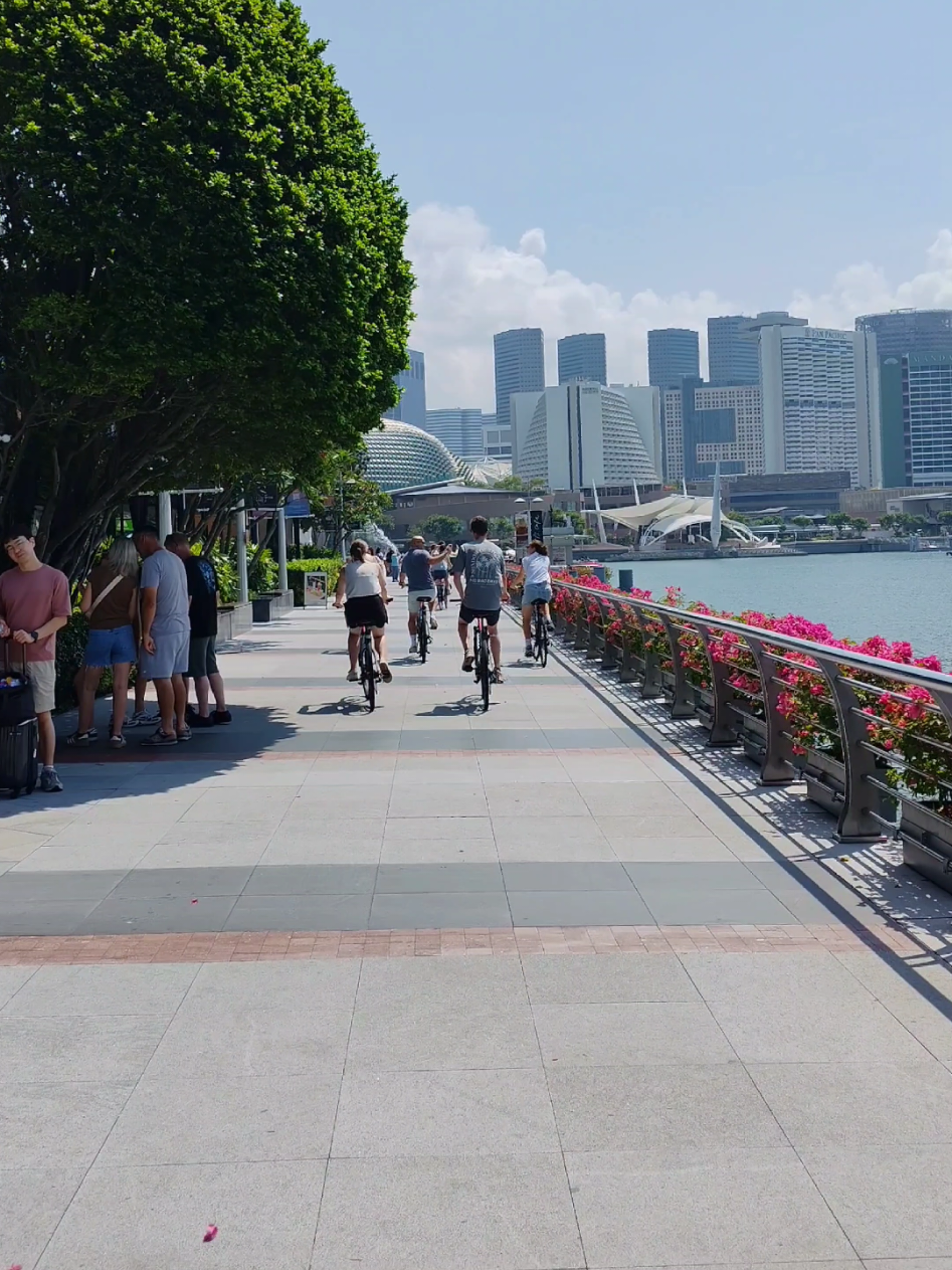 @Let's Go Tour Singapore