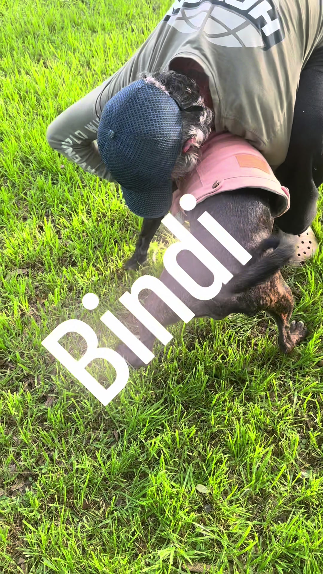 @Judd (just us deserving dogs)
