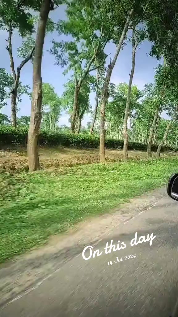 @nirobsarkar