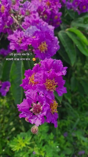 @Nªð¡m §ª®k€
