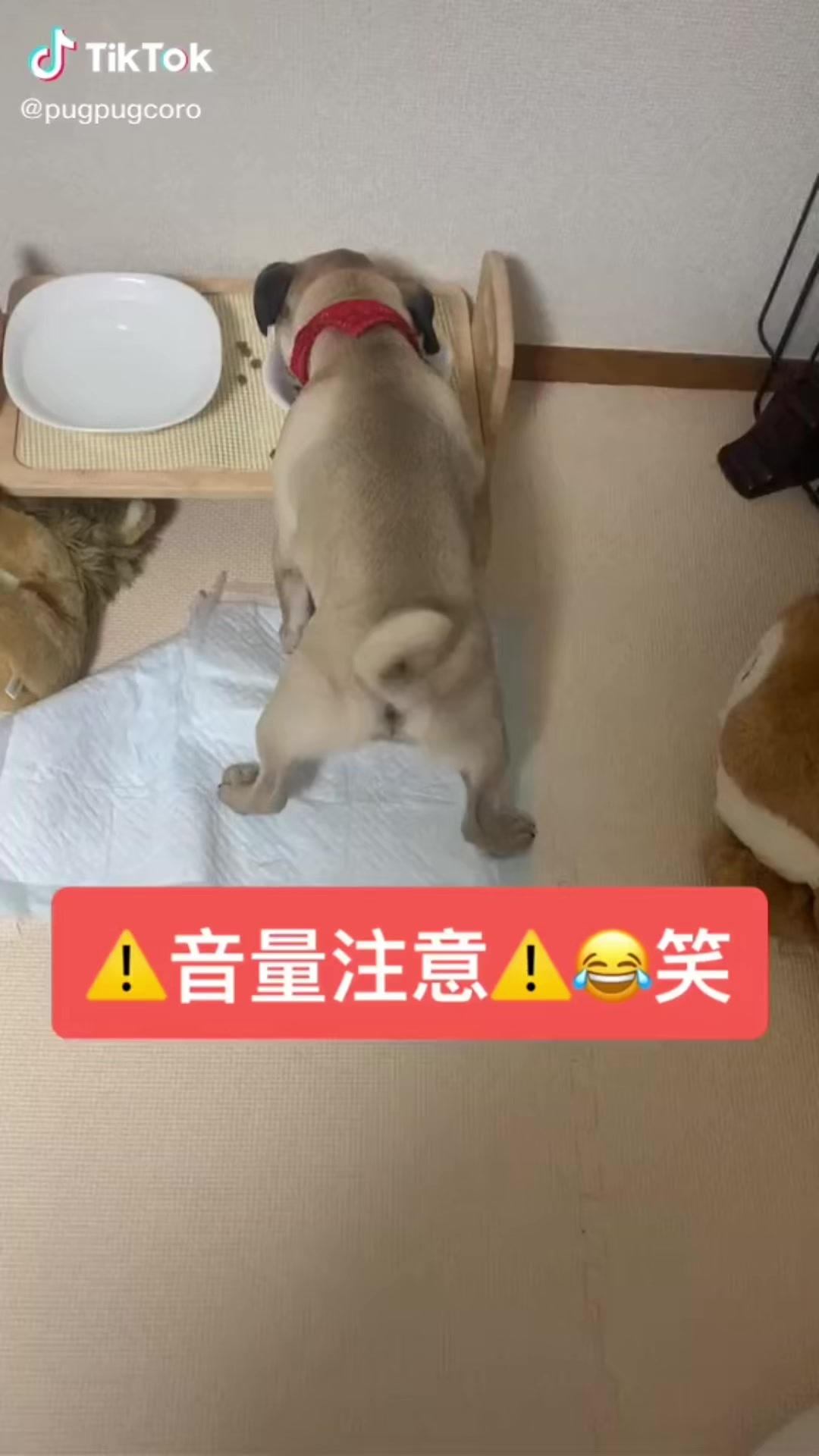 @たっちゃん。