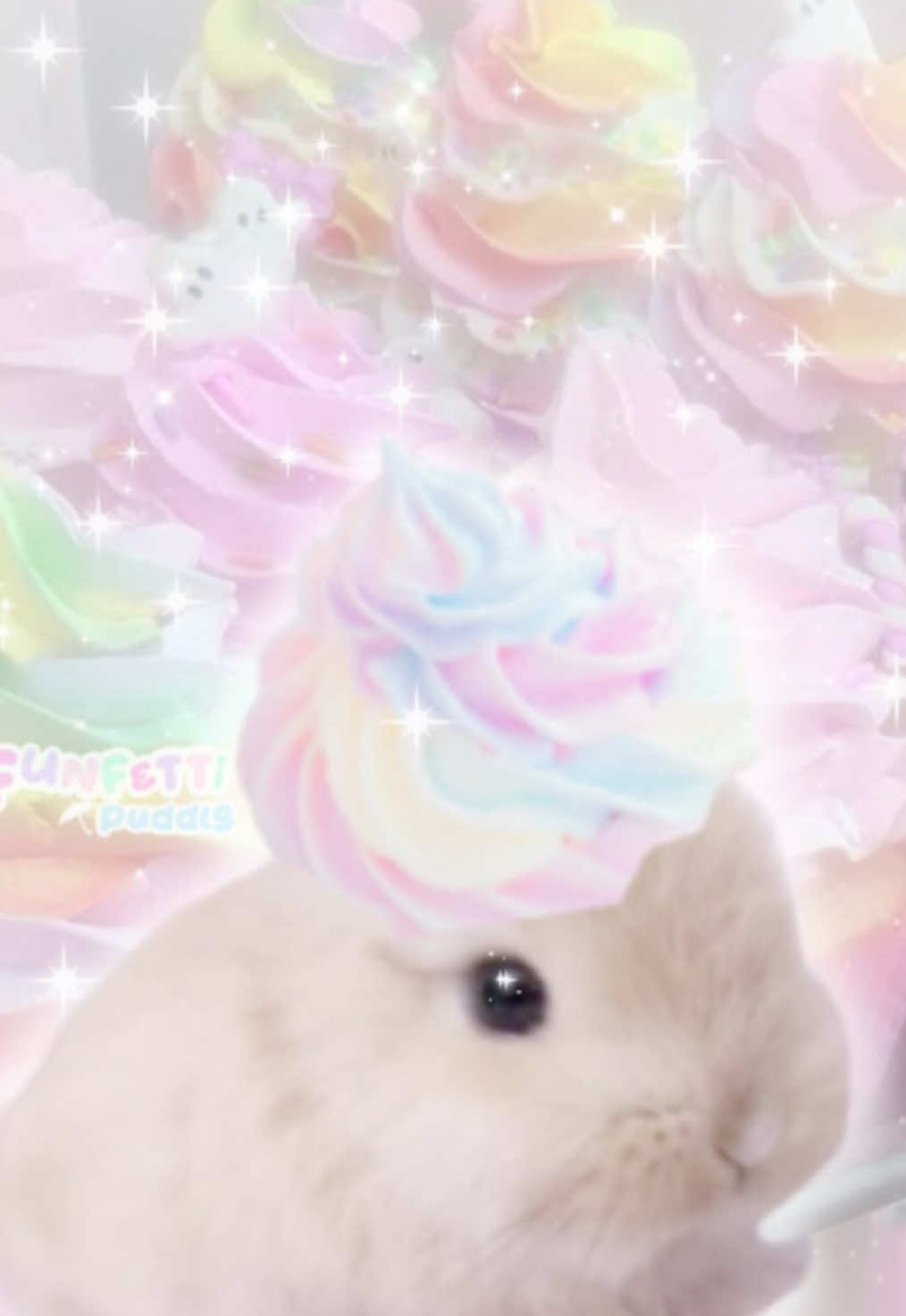 @Deenasaurr 𐔌՞ ܸ.ˬ.ܸ՞𐦯