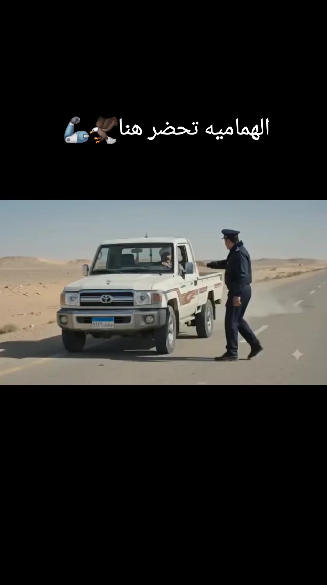 @صقر.هواره الهماميه🦅✈️🪙
