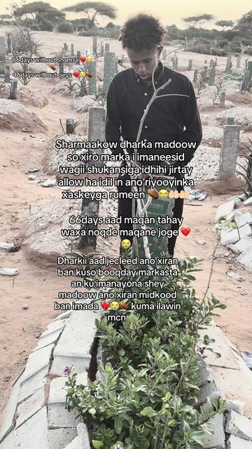 @Seygii shamso Yusuf Cade 💍