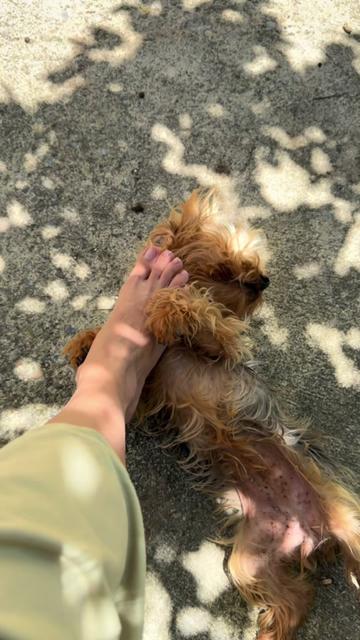 @Noemí Rodríguez RD 🇩🇴