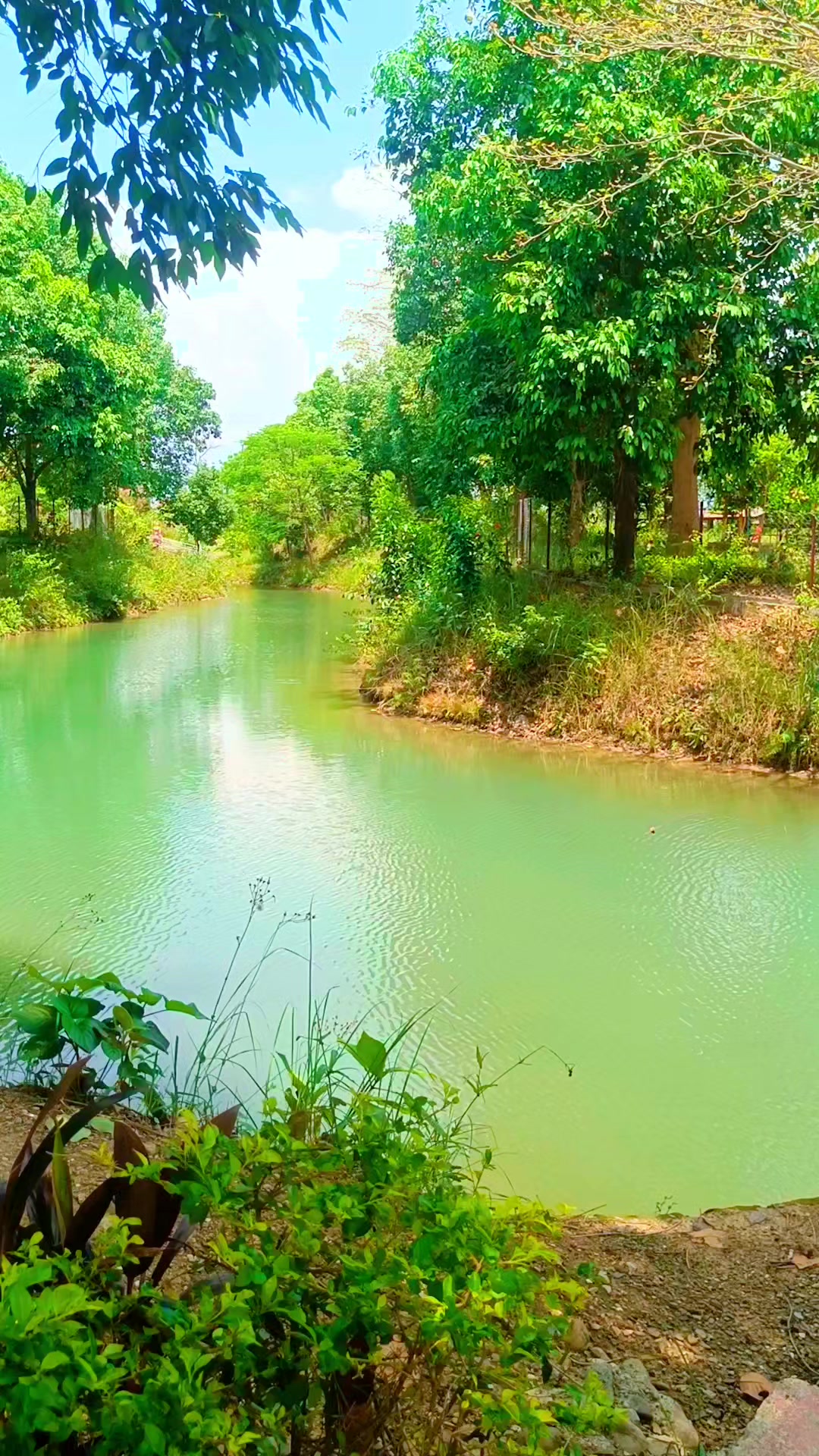 @अजय यादव