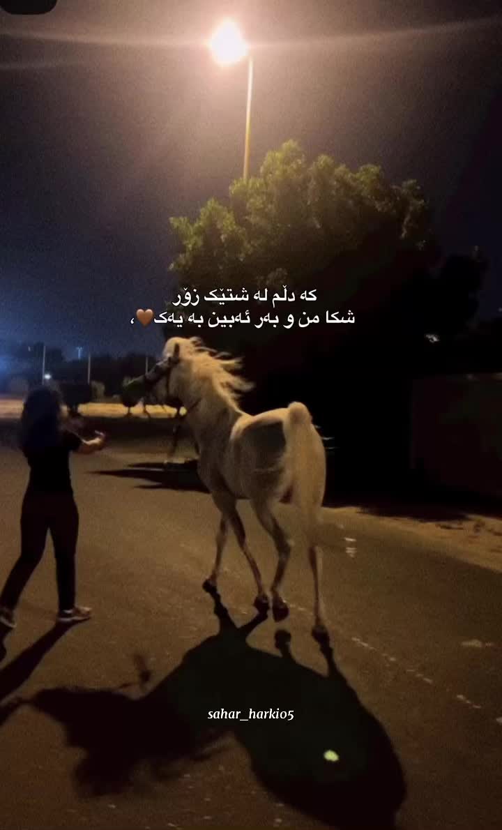 @Sahar