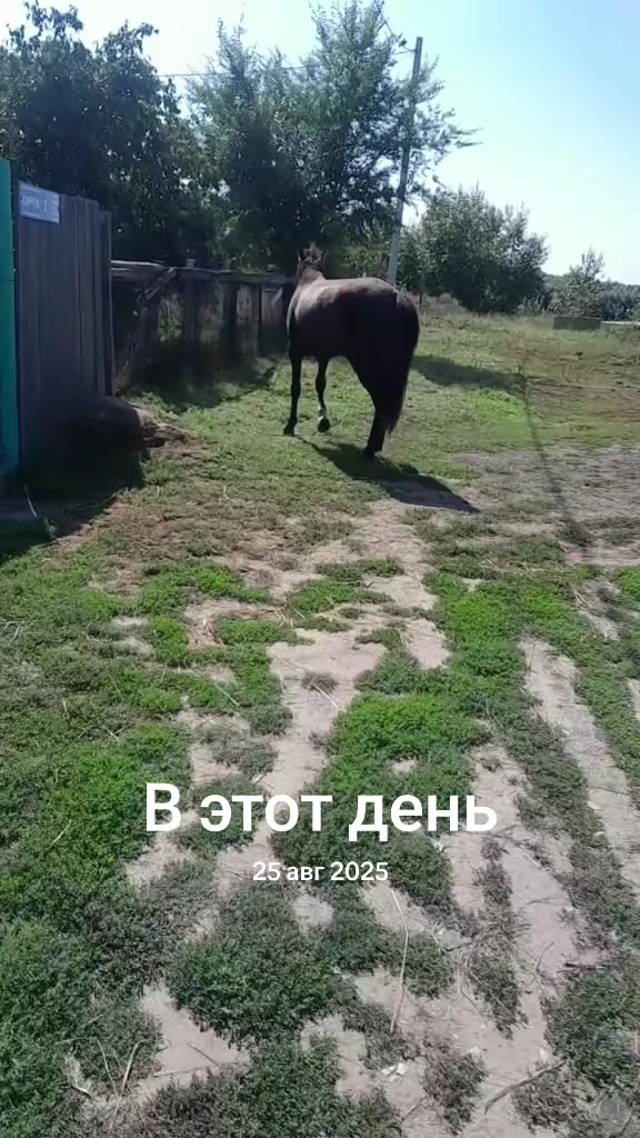 @💪ДОБРЫЙ 💪
