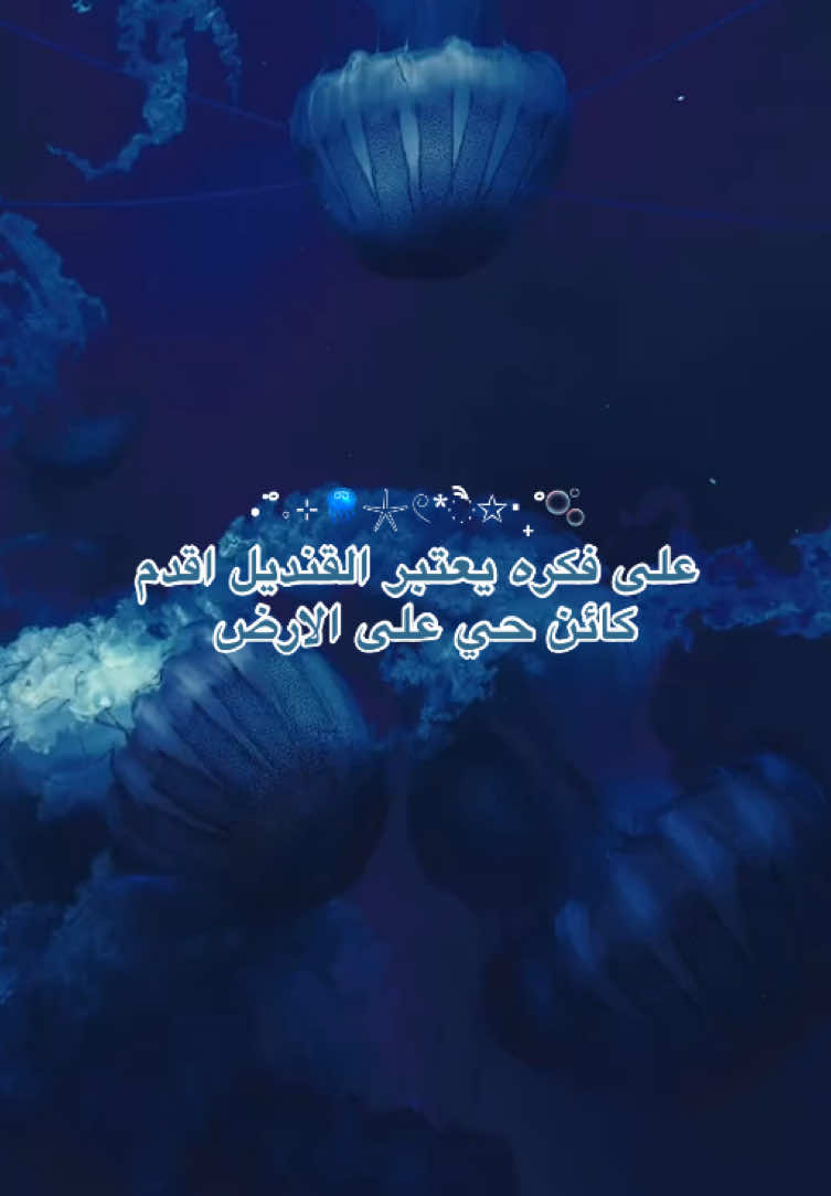 @Sh|شَ 🌊🪷࿐ ౨ৎ ⋆ 。˚