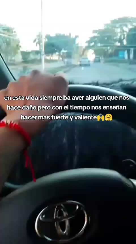 @yusaritamarielveg
