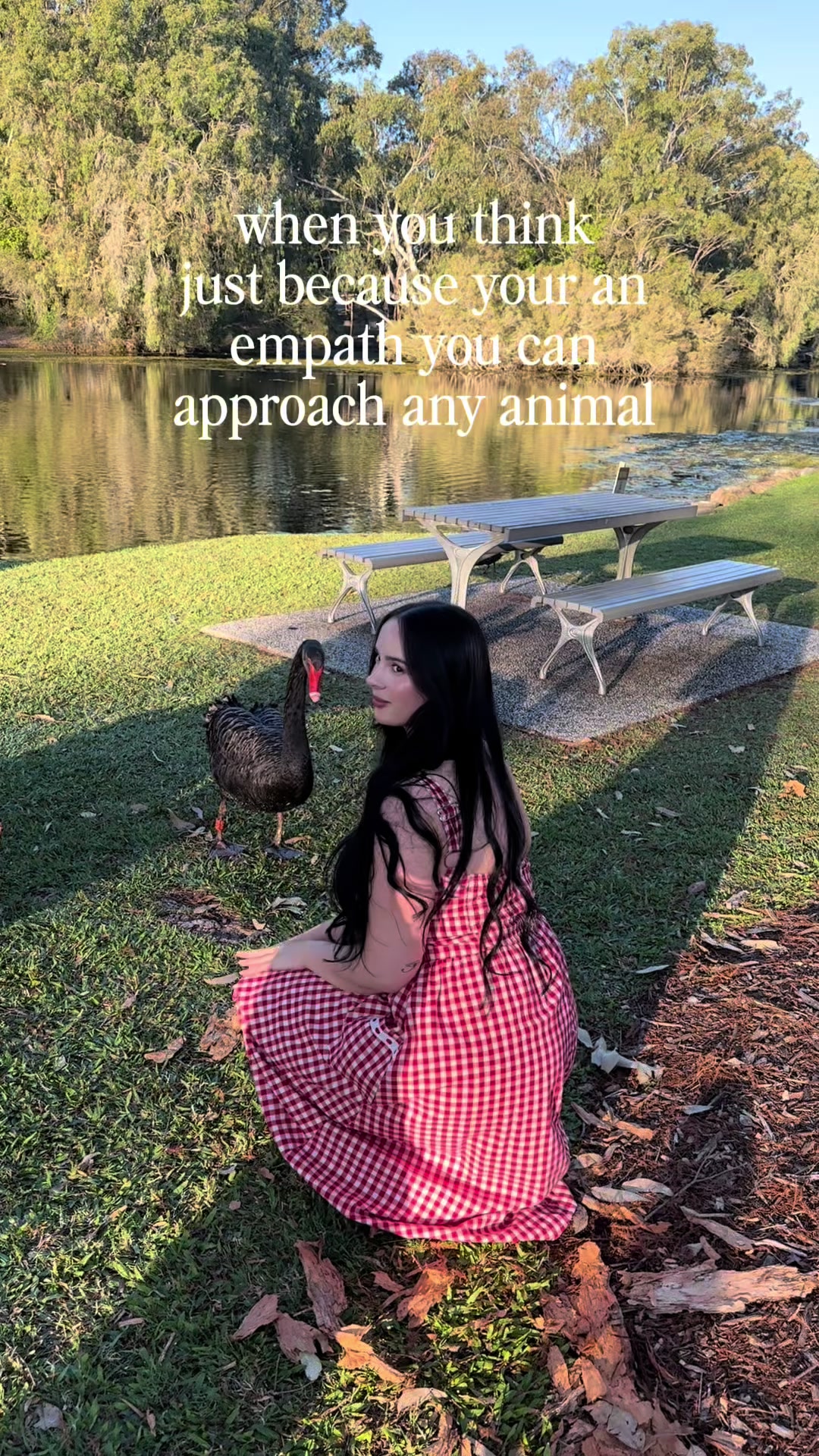 @raphaelarabbit